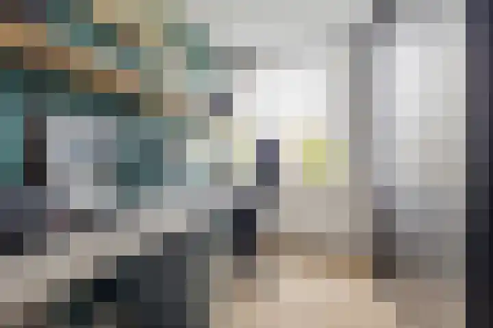 Huisakker 4 Bavel thumbnail 21