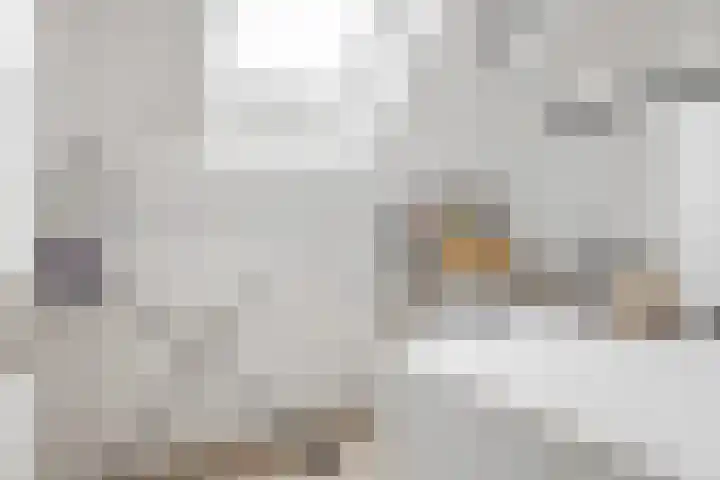 Huisakker 4 Bavel thumbnail 26