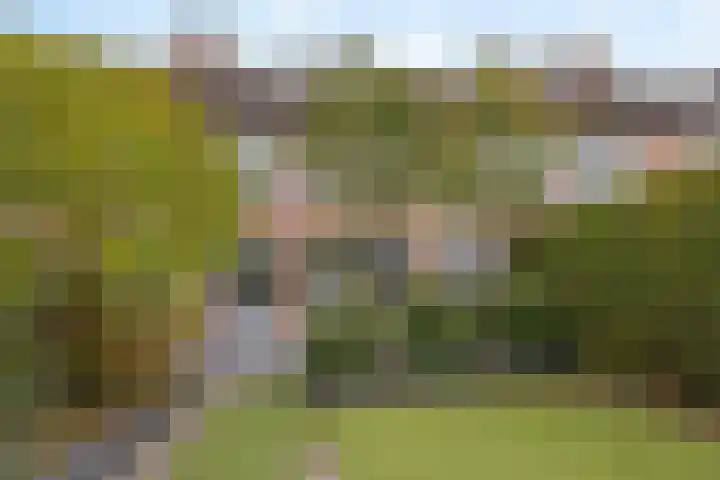 Huisakker 4 Bavel thumbnail 33