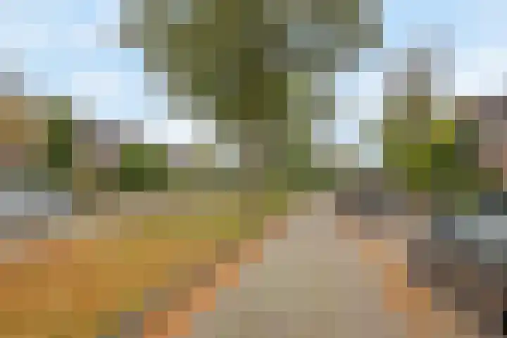 Huisakker 4 Bavel thumbnail 34