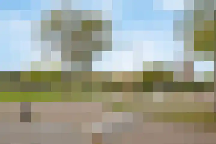 Huisakker 4 Bavel thumbnail 35