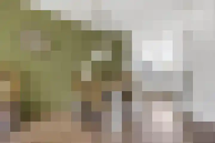 Huiserf 3 Breda thumbnail 12