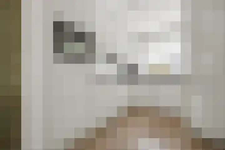 Huiserf 3 Breda thumbnail 15