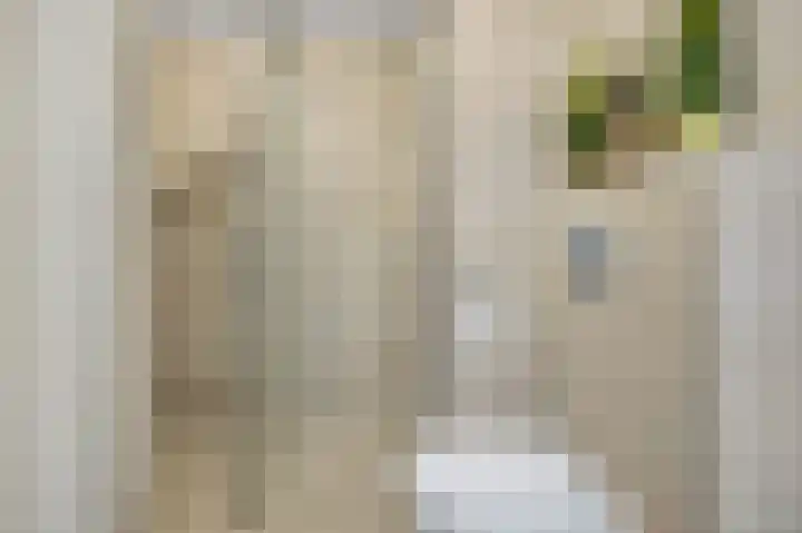 Huiserf 3 Breda thumbnail 32
