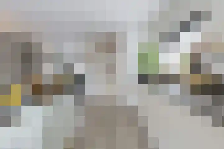 Huiserf 42 Breda thumbnail 10