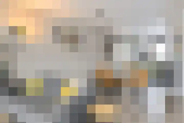Huiserf 42 Breda thumbnail 11
