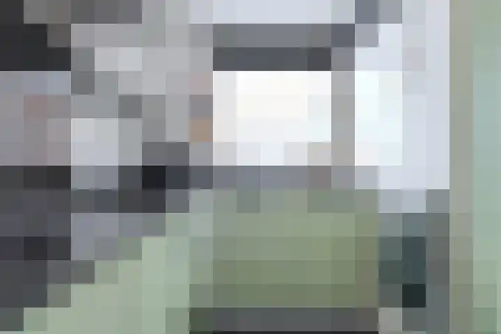 Huiserf 42 Breda thumbnail 13