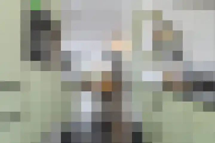 Huiserf 42 Breda thumbnail 14