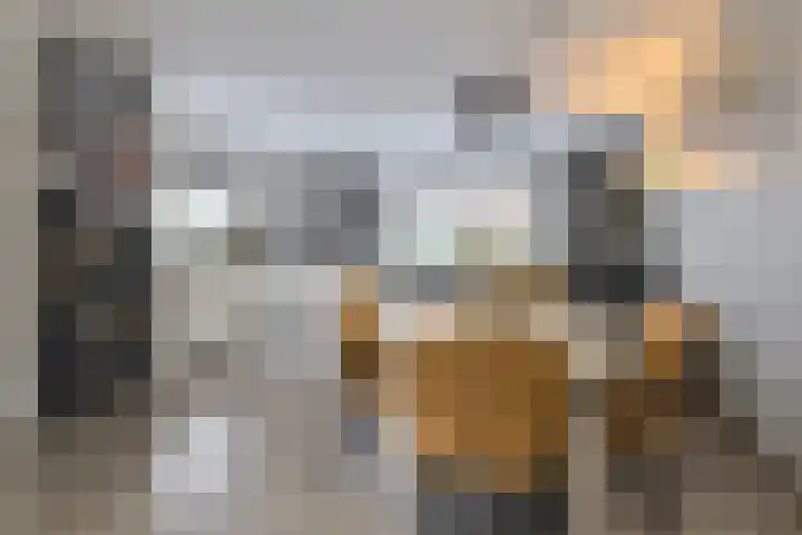 Huiserf 42 Breda thumbnail 15