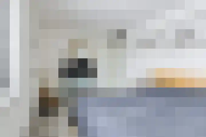 Huiserf 42 Breda thumbnail 22