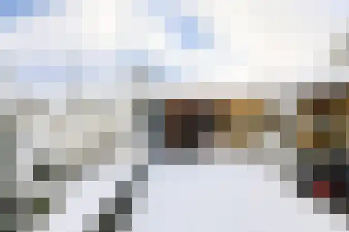 Huiserf 42 Breda thumbnail 31