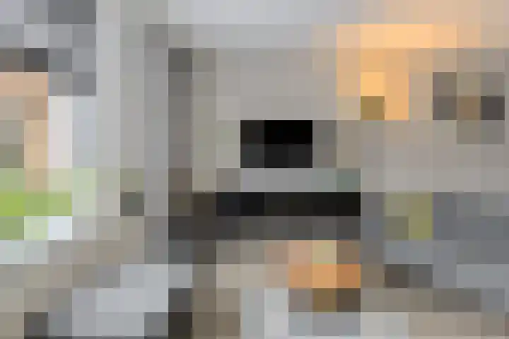 Huiserf 42 Breda thumbnail 7