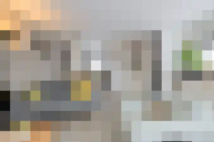 Huiserf 42 Breda thumbnail 9