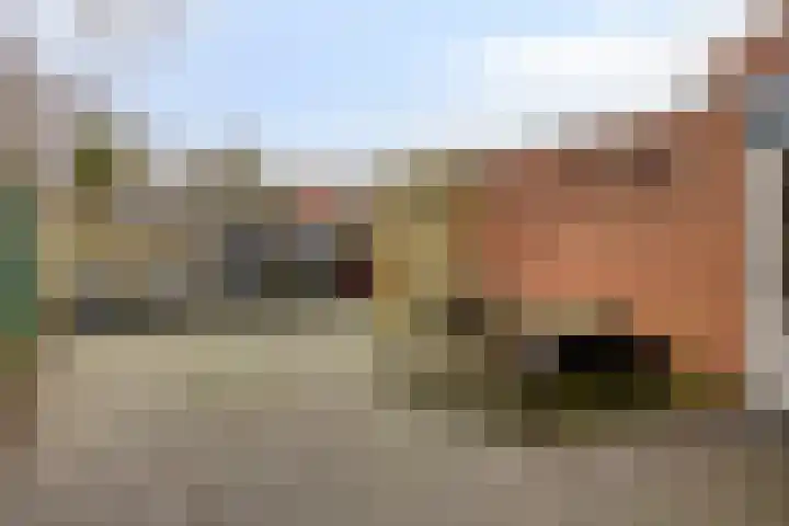 Huismus 6 Emmen thumbnail 15