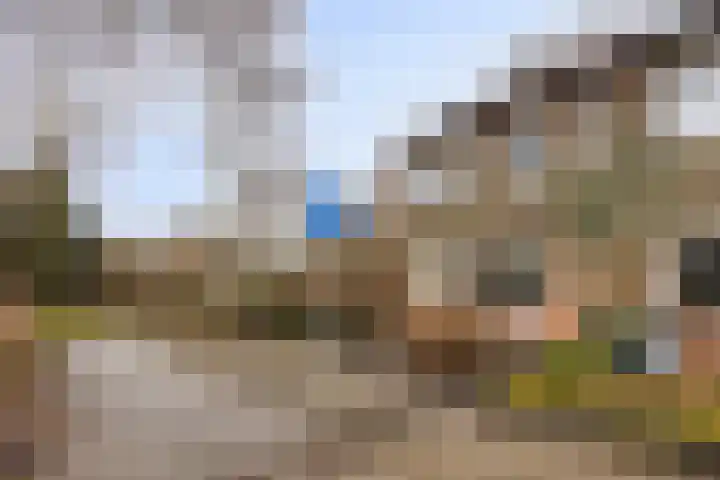 Huismus 6 Emmen thumbnail 16
