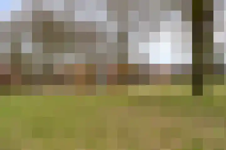 Huismus 6 Emmen thumbnail 19