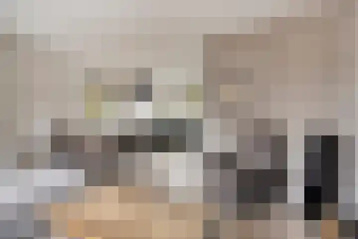 Huismus 6 Emmen thumbnail 4