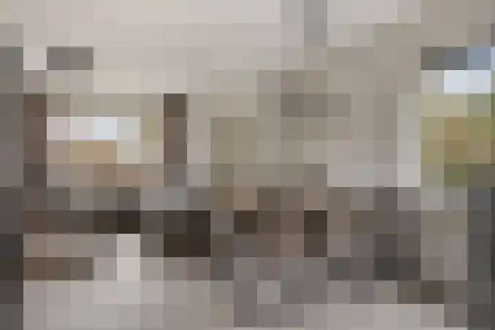 Huismus 6 Emmen thumbnail 5