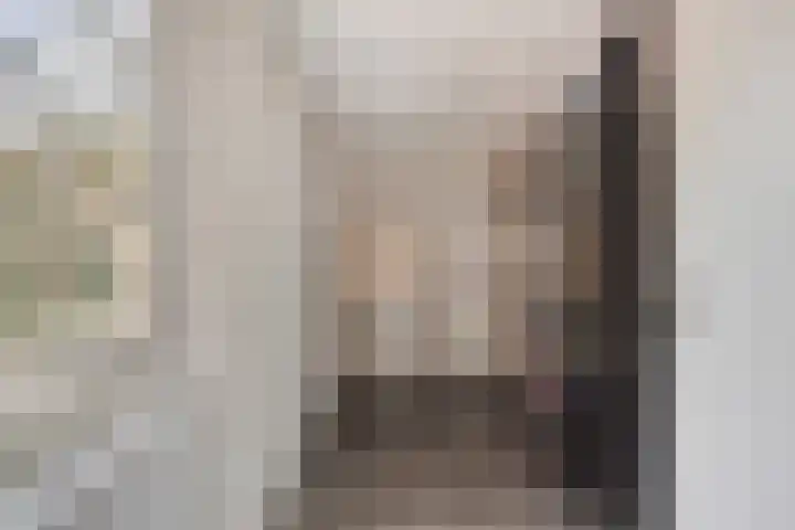 Huismus 6 Emmen thumbnail 8