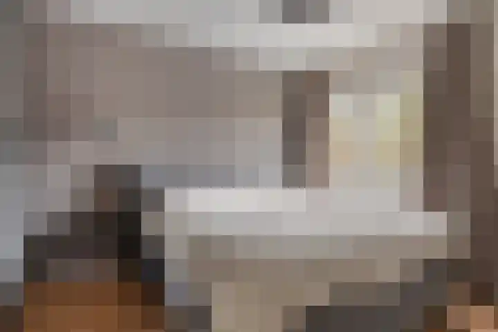 Huismus 6 Emmen thumbnail 9