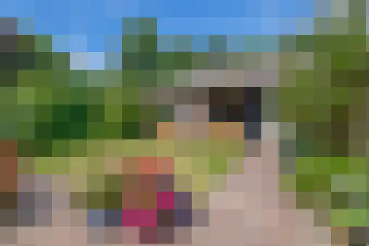 Huisstee 1 Hierden thumbnail 21