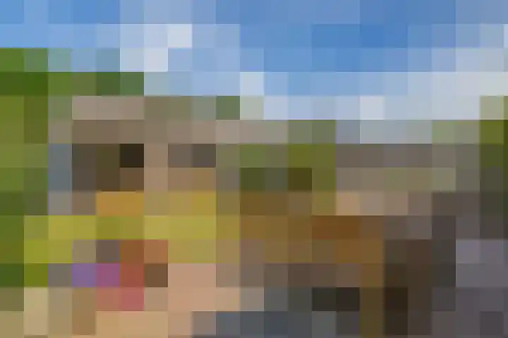 Huisstee 1 Hierden thumbnail 22