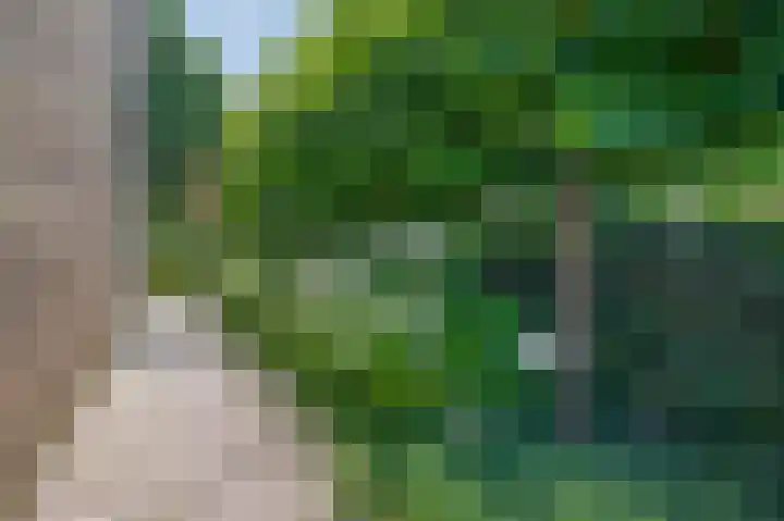 Huisstee 1 Hierden thumbnail 23