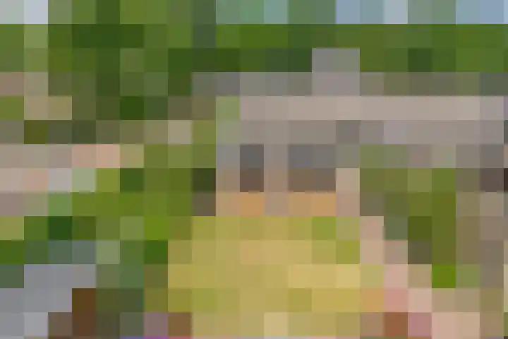Huisstee 1 Hierden thumbnail 26