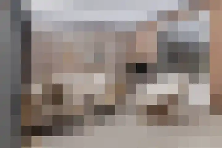 Kantoor foto van Huize Muller Makelaars