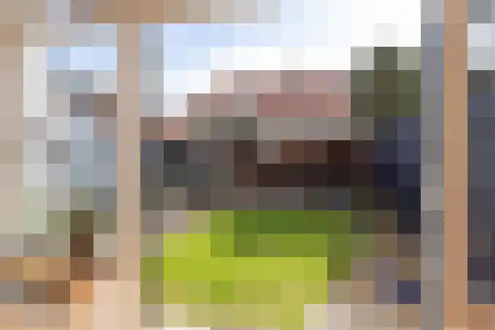 Huizerweg 110 Bussum thumbnail 34