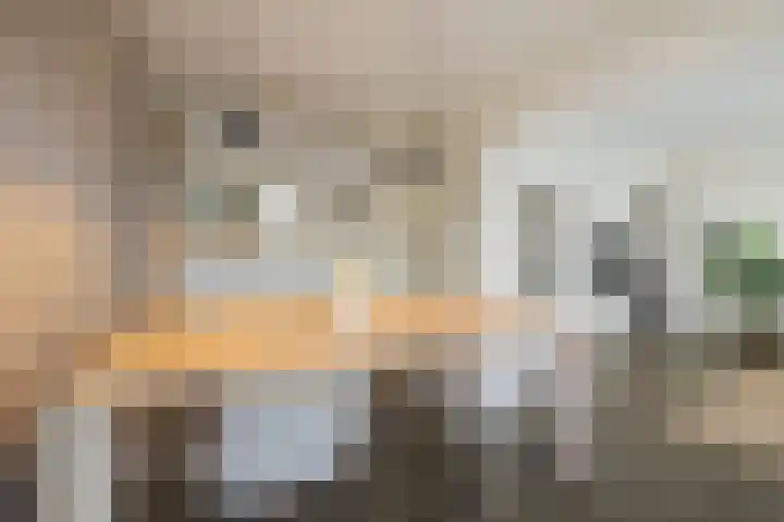 Huizerweg 19 L Bussum thumbnail 9