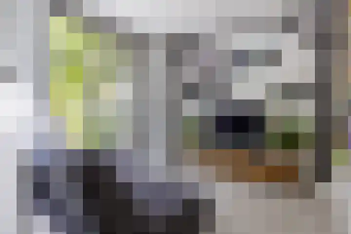 Huizerweg 29 Blaricum thumbnail 13