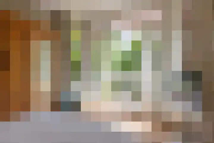 Huizerweg 29 Blaricum thumbnail 16