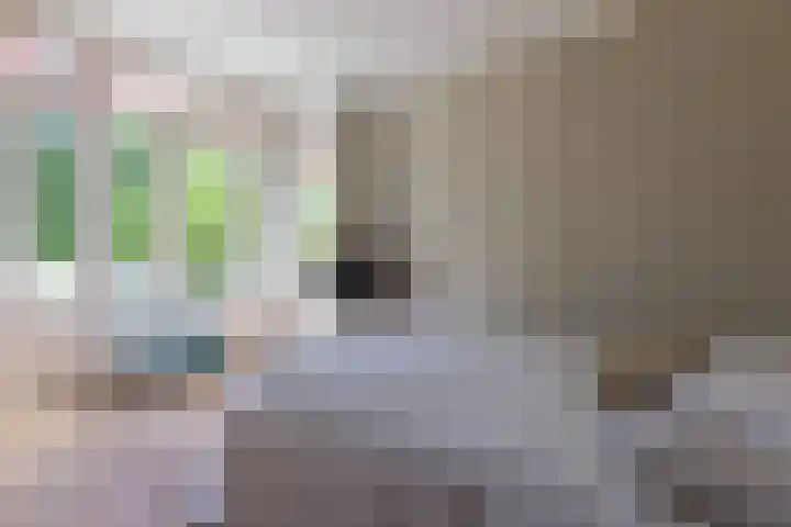 Huizerweg 29 Blaricum thumbnail 17