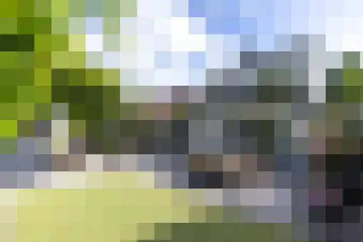 Huizerweg 29 Blaricum thumbnail 23