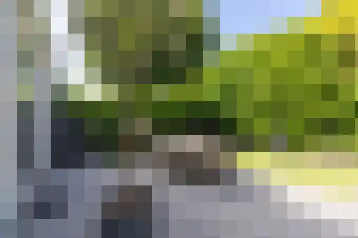 Huizerweg 29 Blaricum thumbnail 28