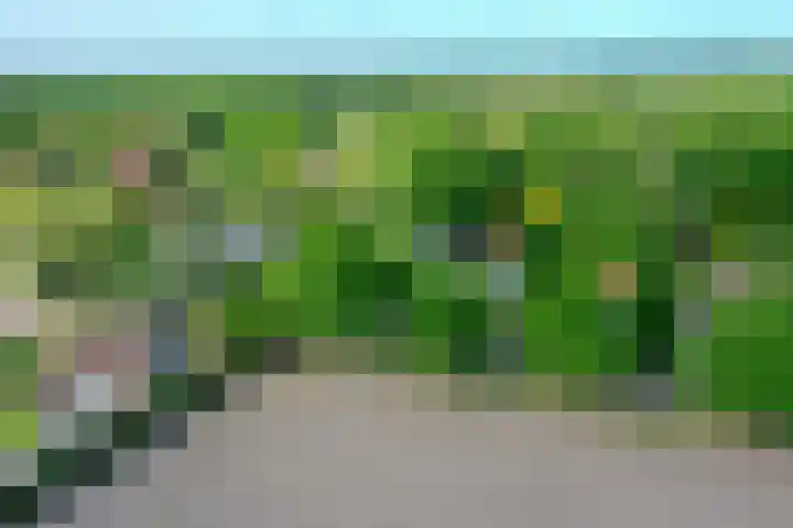 Huizerweg 29 Blaricum thumbnail 31