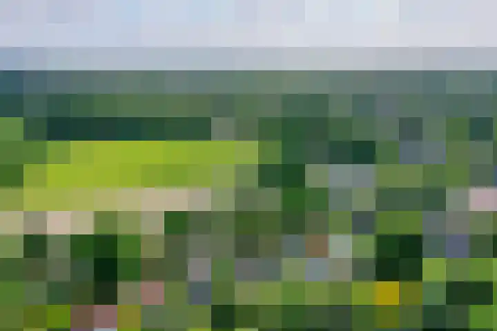 Huizerweg 29 Blaricum thumbnail 32