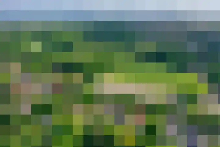 Huizerweg 29 Blaricum thumbnail 33