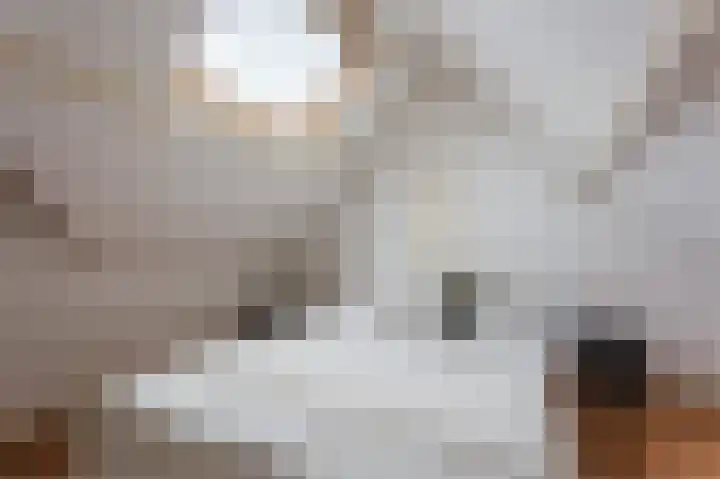Huizerweg 7 A Bussum thumbnail 32
