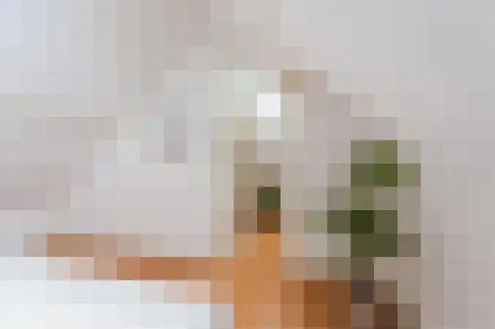 Huizerweg 7 A Bussum thumbnail 34