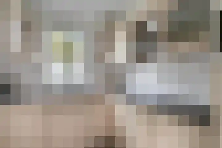 Huizingalaan 38 Eindhoven thumbnail 16