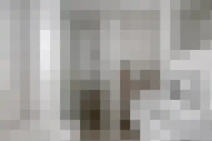 Huizingalaan 38 Eindhoven thumbnail 23