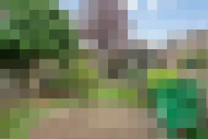 Huizingalaan 38 Eindhoven thumbnail 34