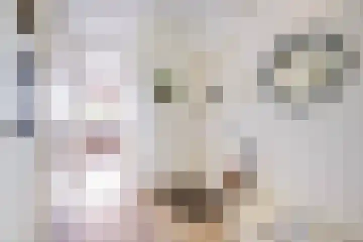 Hulk 22 Brielle thumbnail 24