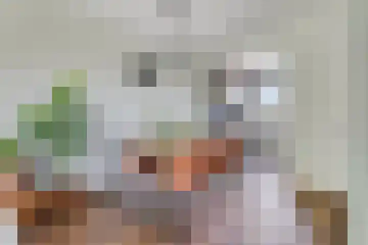 Hulk 22 Brielle foto 3