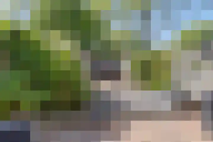 Hulk 22 Brielle thumbnail 40