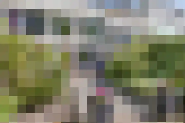 Hulk 22 Brielle thumbnail 43