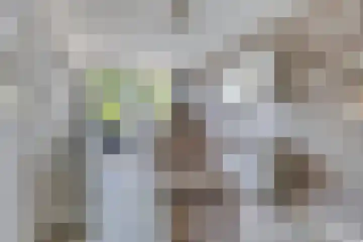 Hulk 22 Brielle thumbnail 5