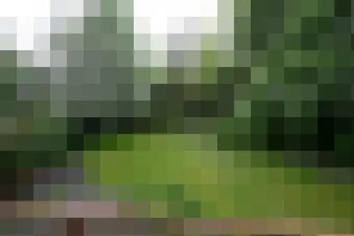 Hulkesteinseweg 35 Arnhem thumbnail 50